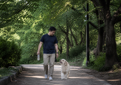 여름 아침 그늘진 산책로를 걷는 강아지와 보호자