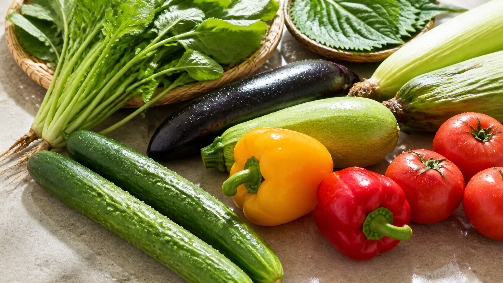 오이와 애호박, 가지, 깻잎, 토마토 등 신선한 여름 채소